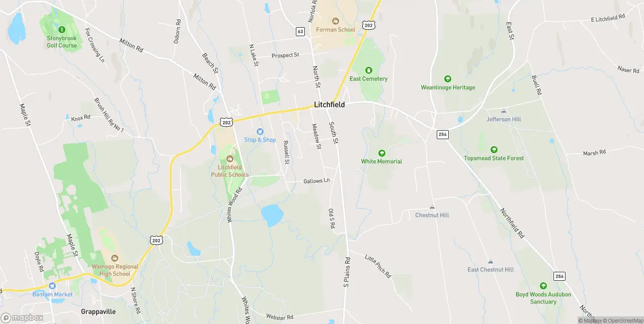 Internet in Litchfield