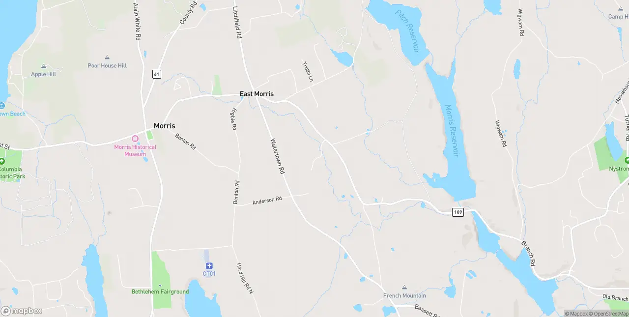 Internet in Morris