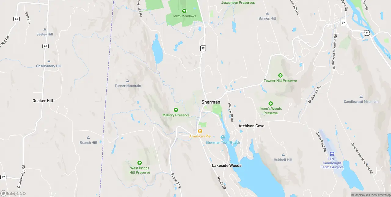 Internet in Sherman