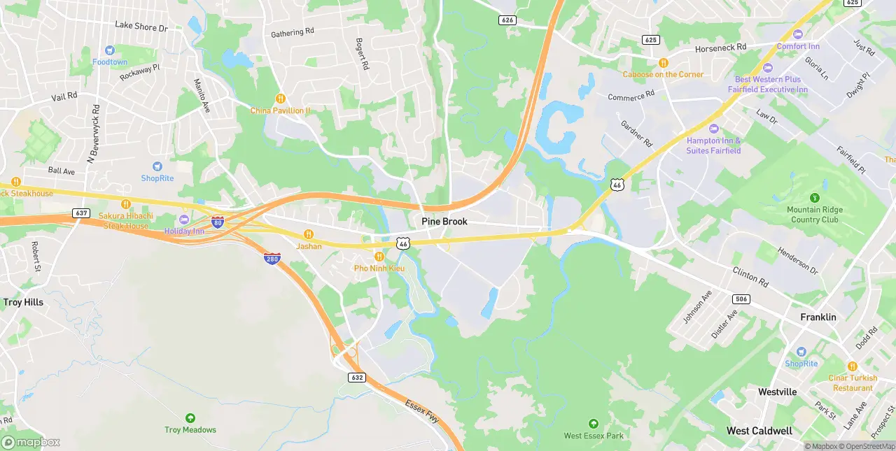 Internet in Pine Brook