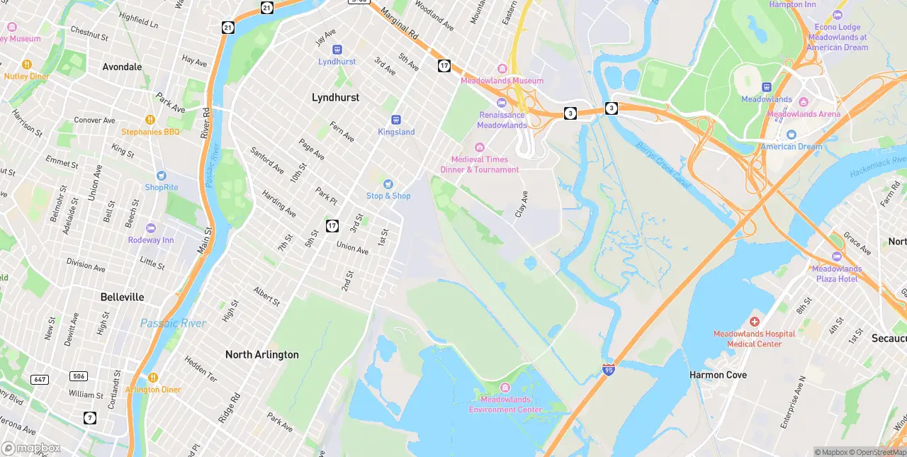 Internet in Lyndhurst