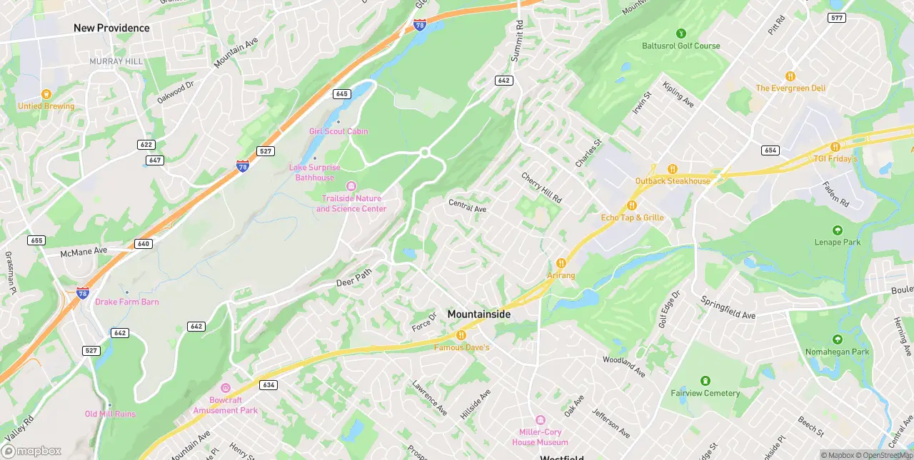 Internet in Mountainside