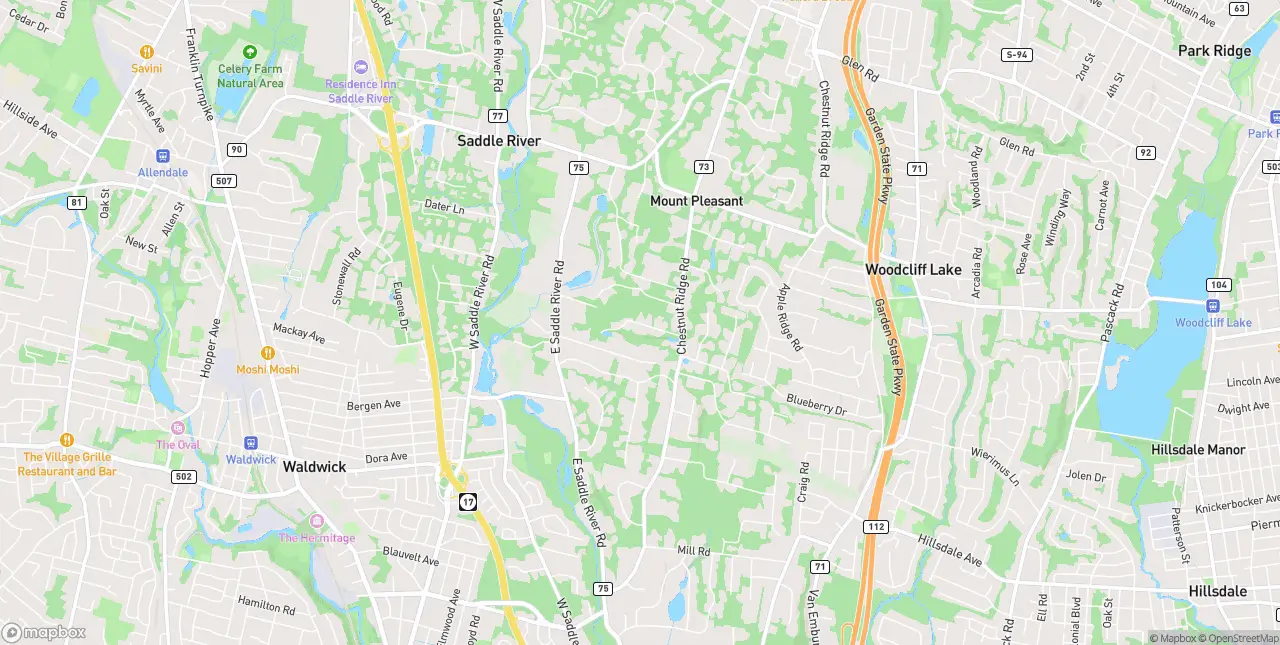 Internet in Saddle River