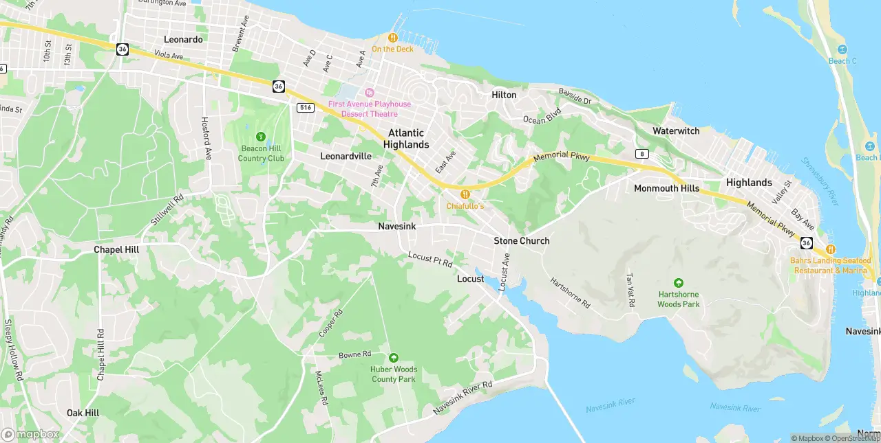 Internet in Atlantic Highlands