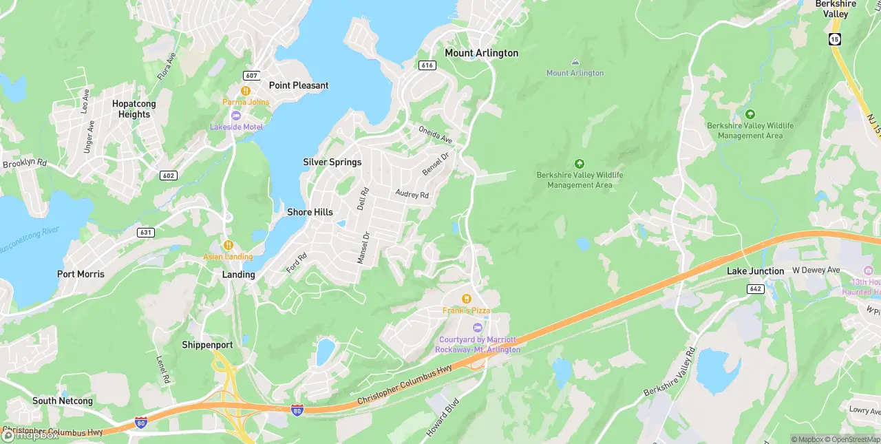 Internet in Mount Arlington