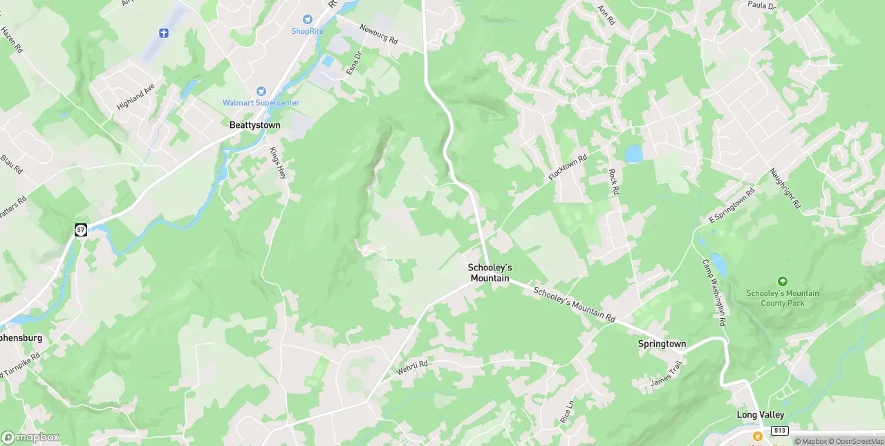 Internet in Schooleys Mountain