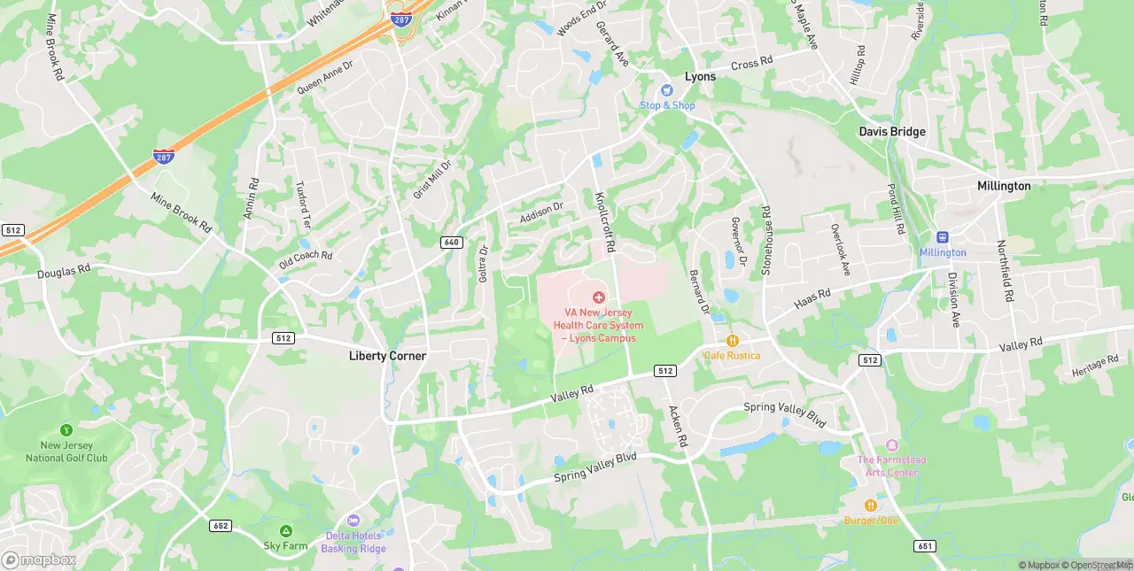 Internet in Basking Ridge