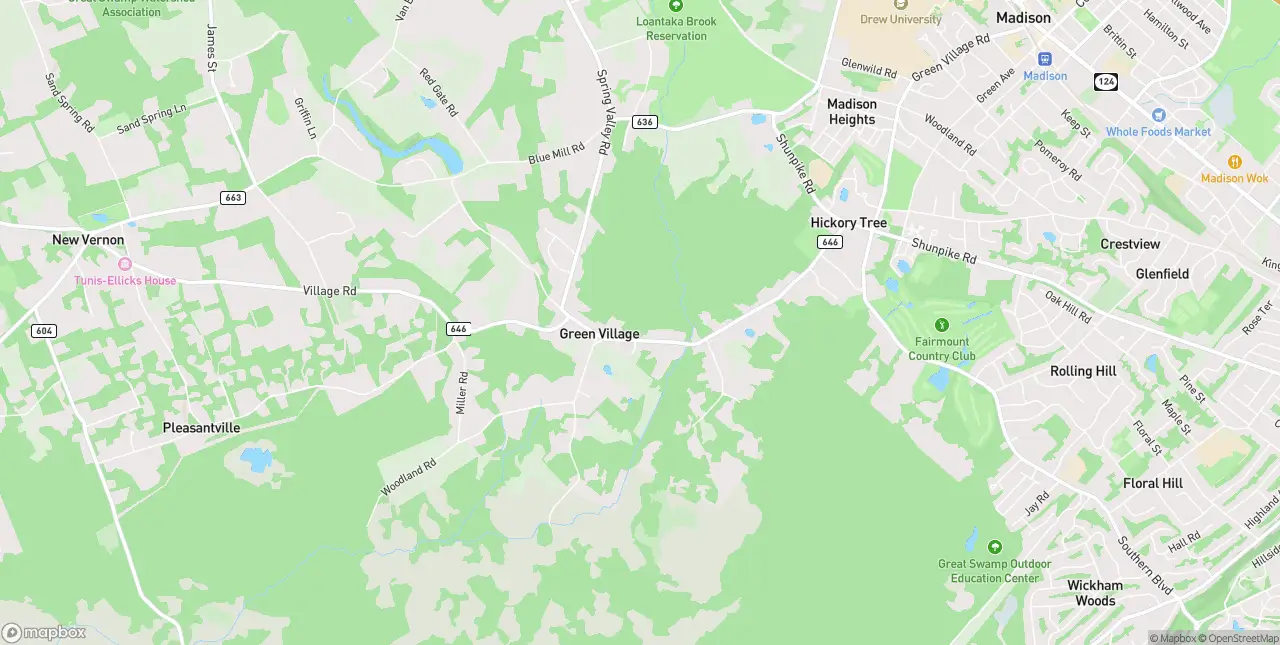 Internet in Green Village