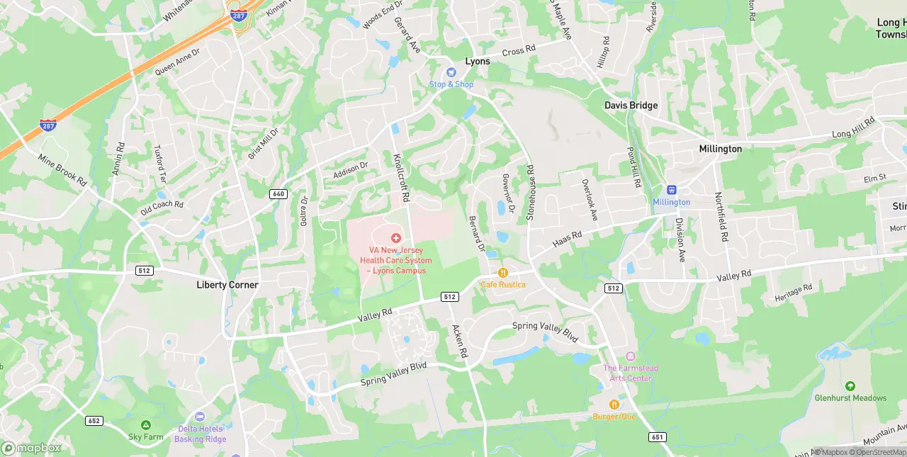 Internet in Lyons