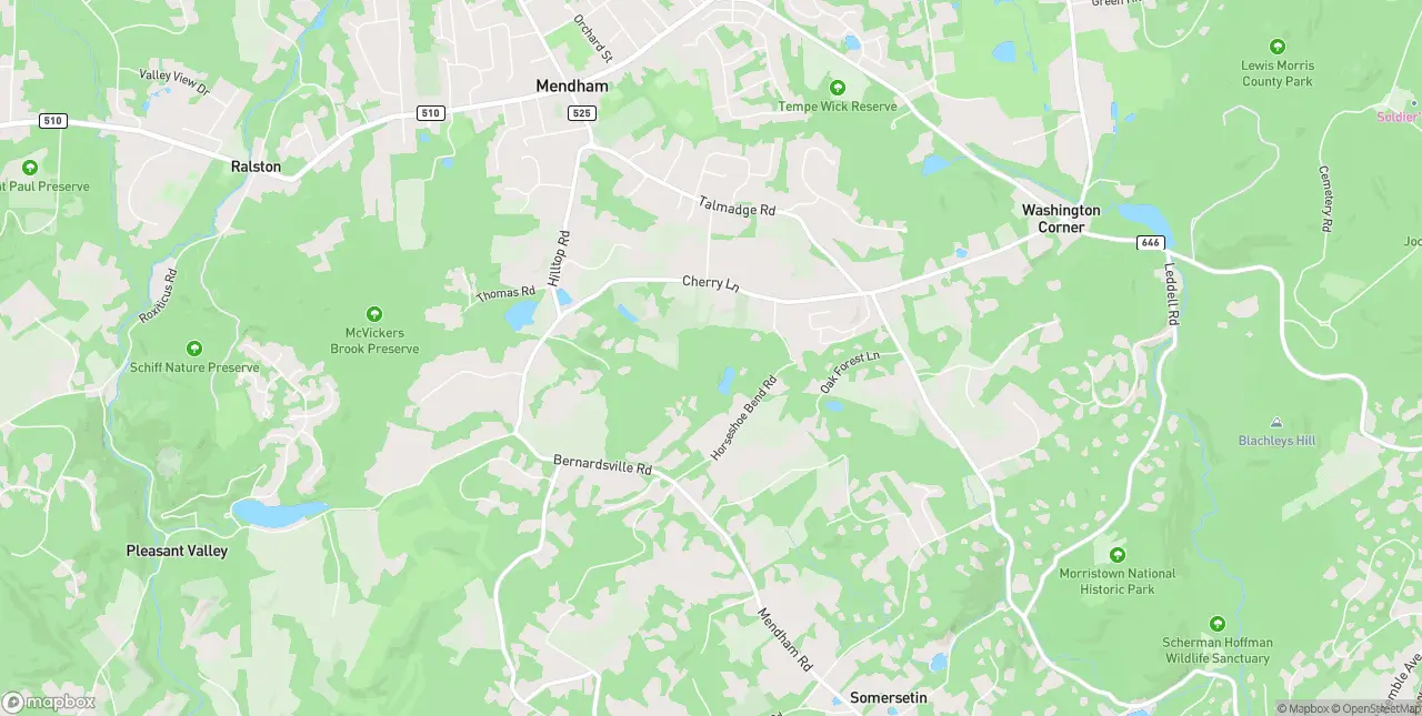Internet in Mendham