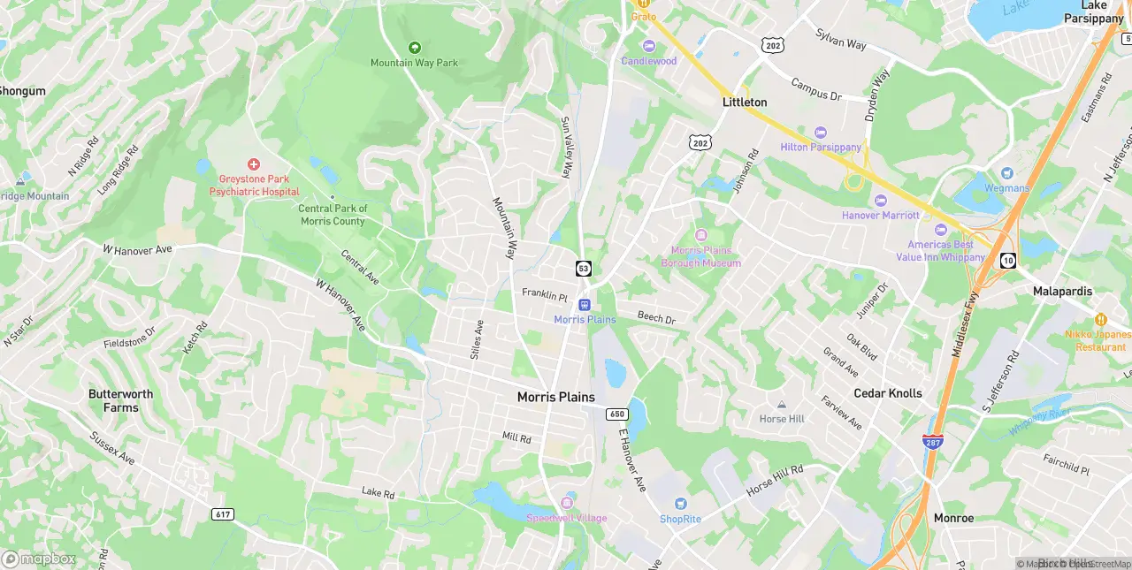 Internet in Morris Plains
