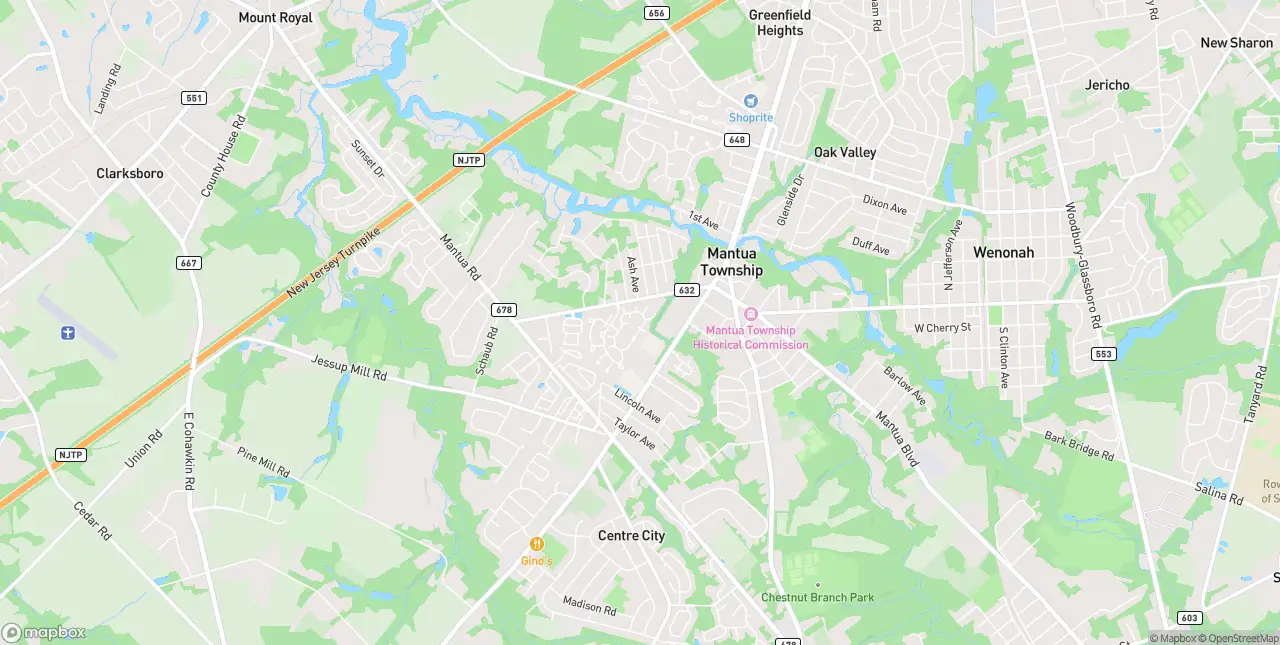 Internet in Mantua