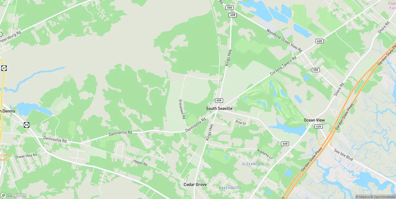 Internet in South Seaville