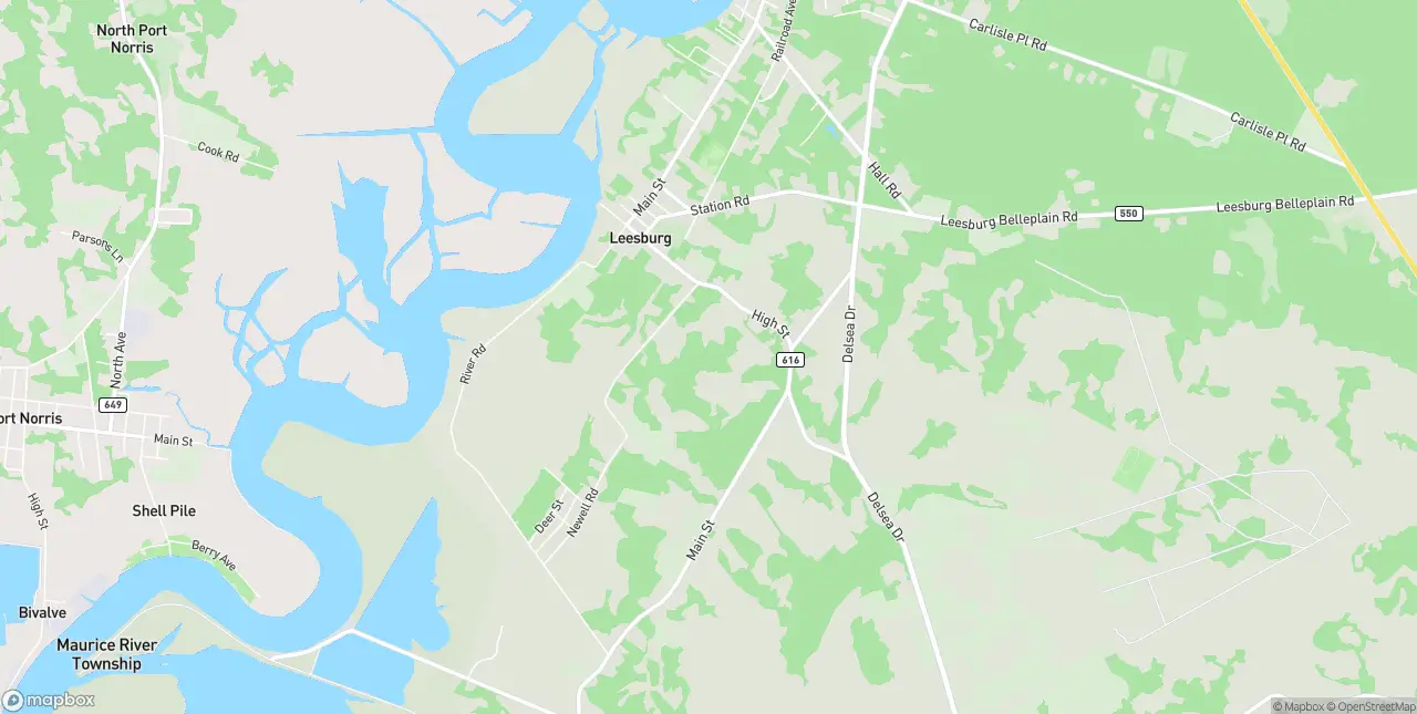 Internet in Leesburg