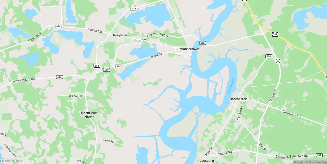 Internet in Mauricetown