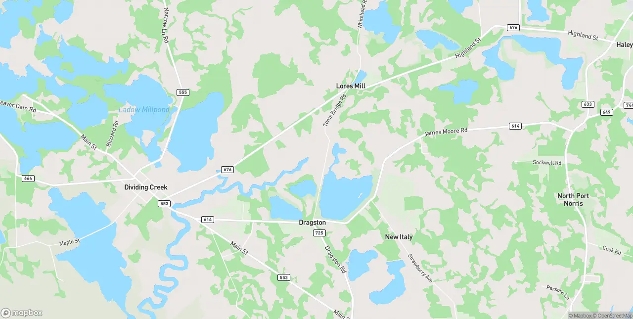 Internet in Port Norris
