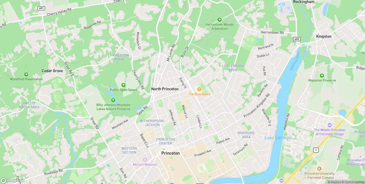 Internet in Princeton