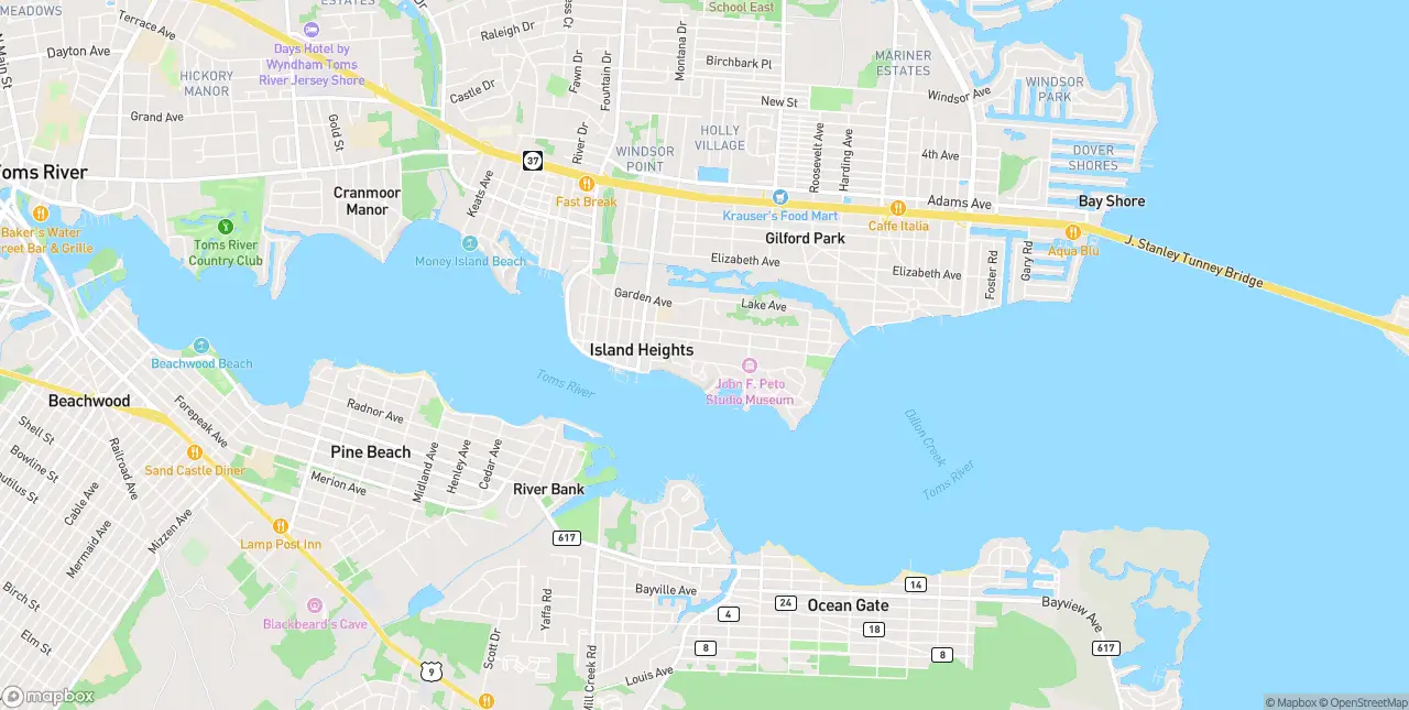 Internet in Island Heights