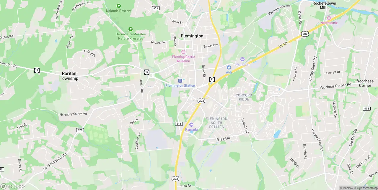 Internet in Flemington