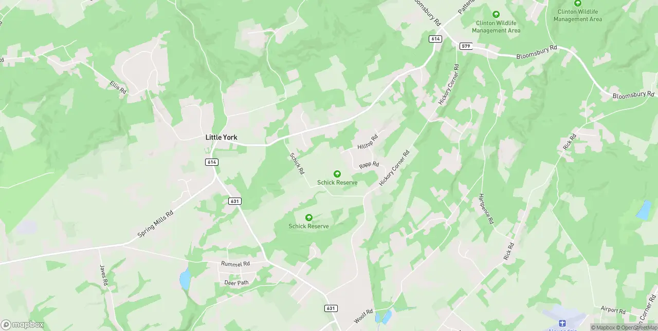Internet in Little York