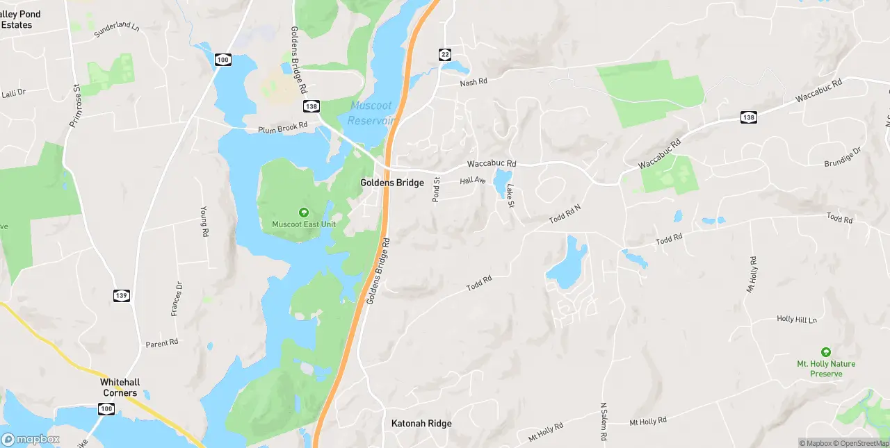 Internet in Goldens Bridge