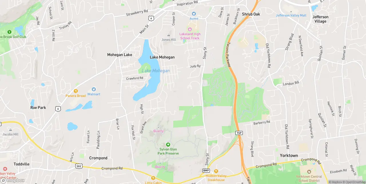 Internet in Mohegan Lake