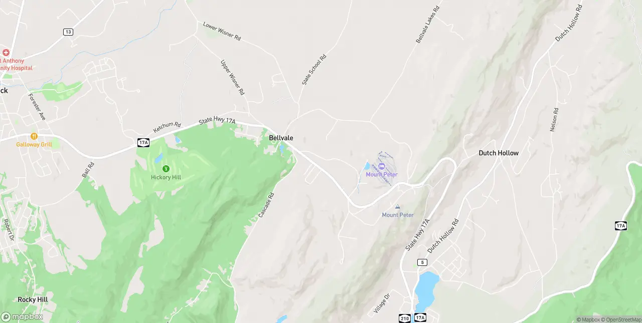 Internet in Bellvale