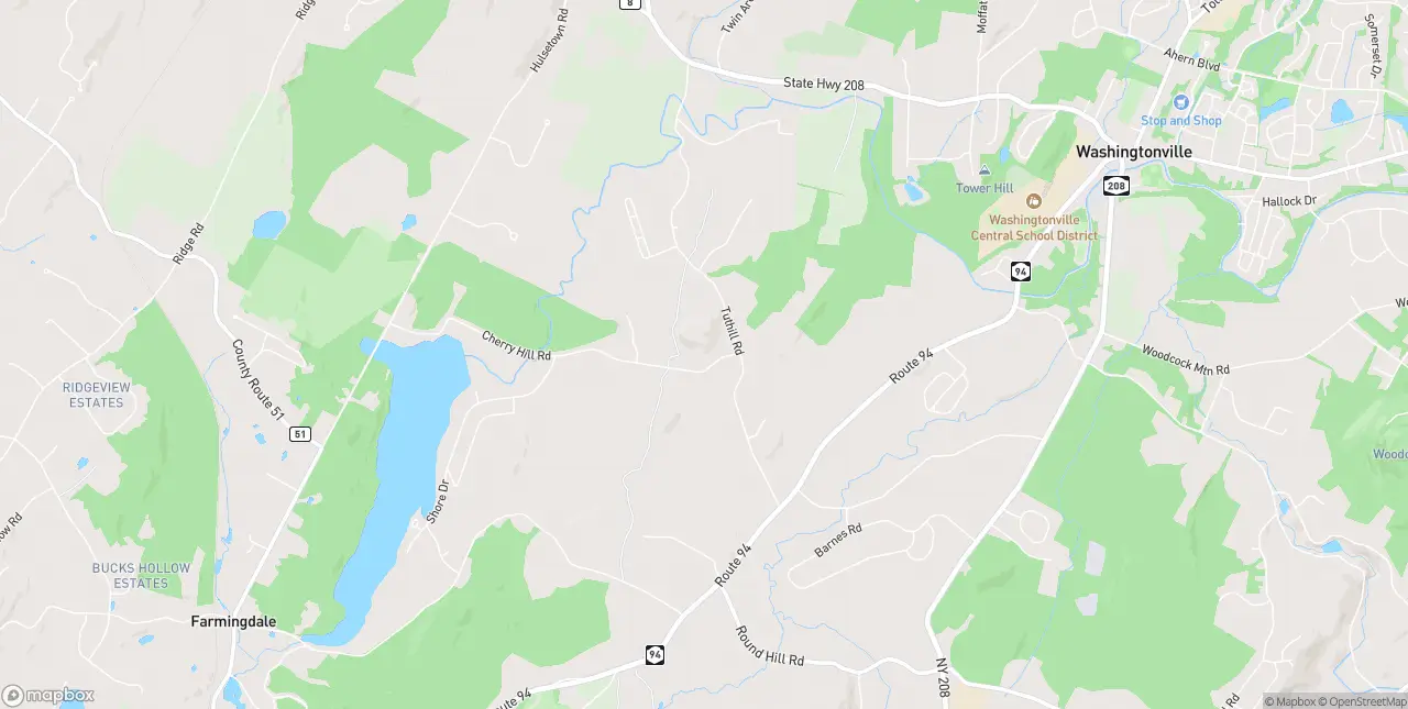 Internet in Blooming Grove