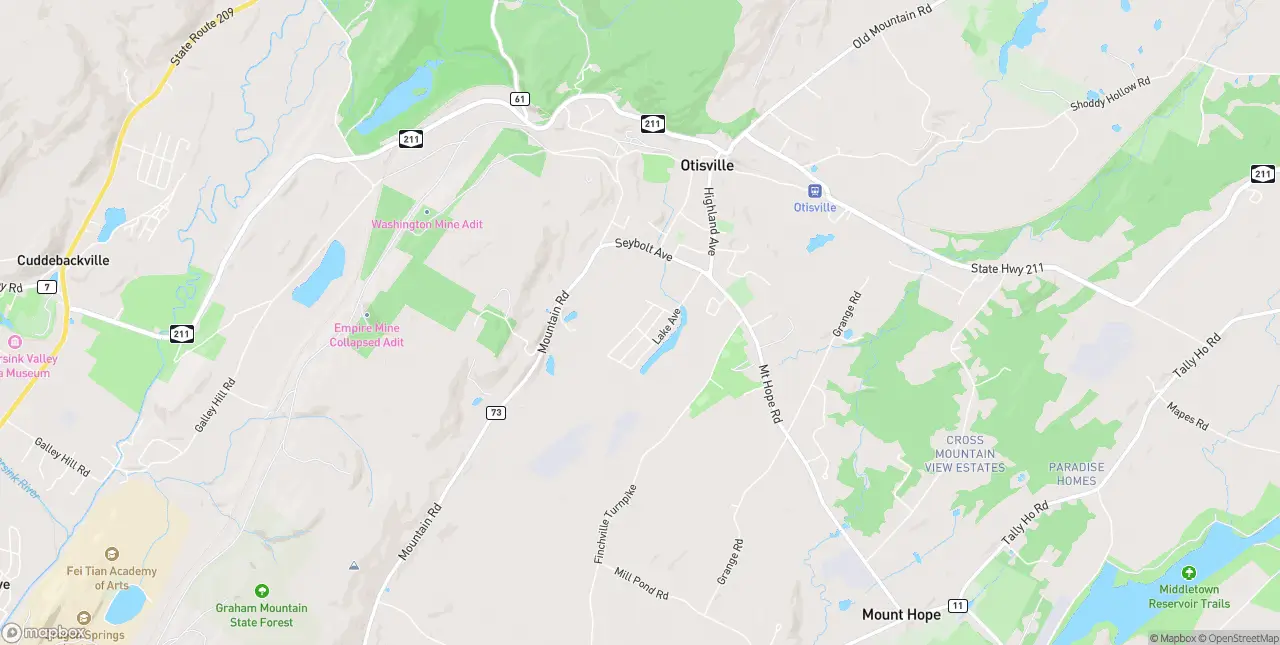 Internet in Otisville