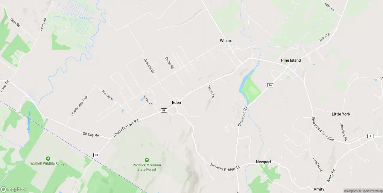 Internet in Pine Island