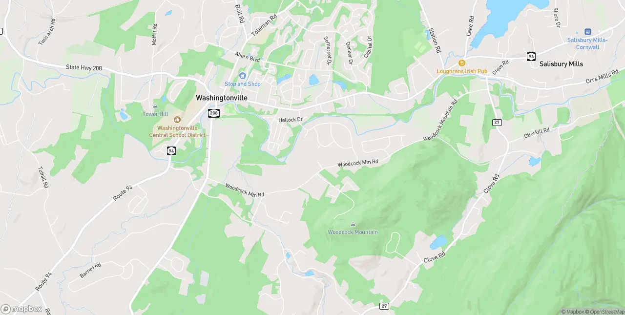 Internet in Washingtonville