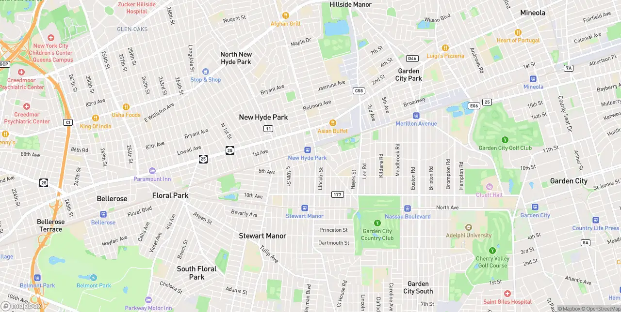 Internet in New Hyde Park