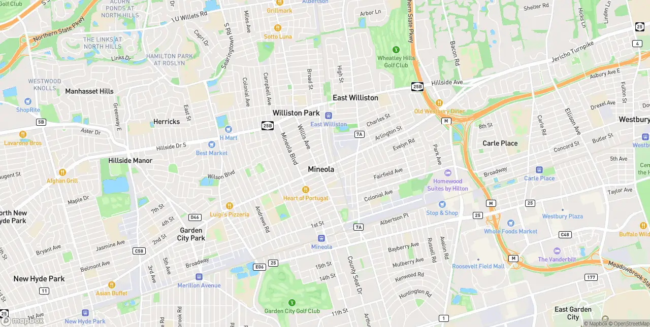 Internet in Mineola