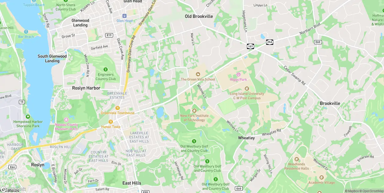 Internet in Greenvale