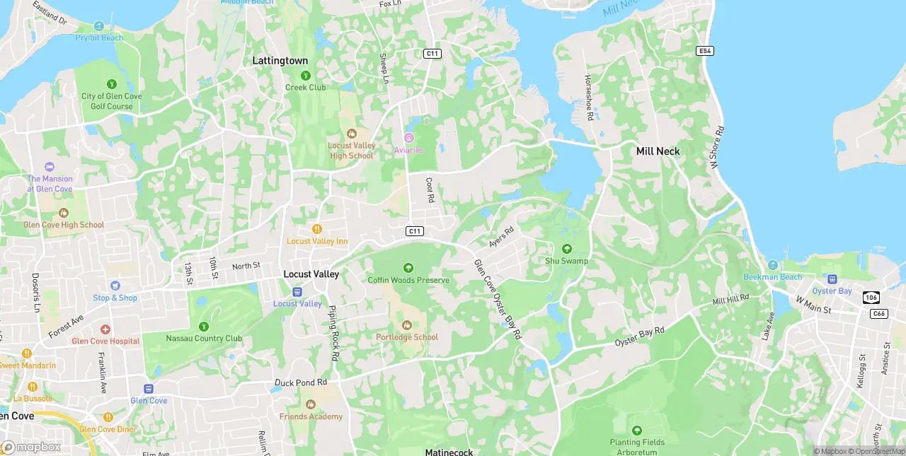 Internet in Locust Valley