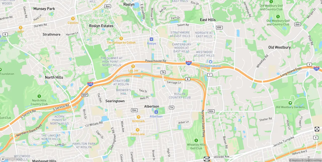 Internet in Roslyn Heights