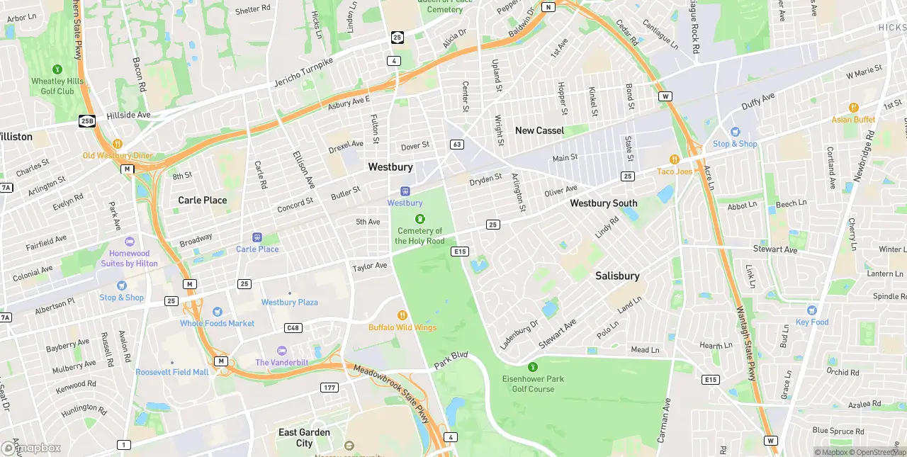 Internet in Westbury