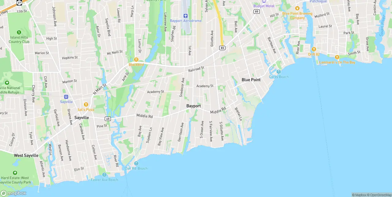 Internet in Bayport