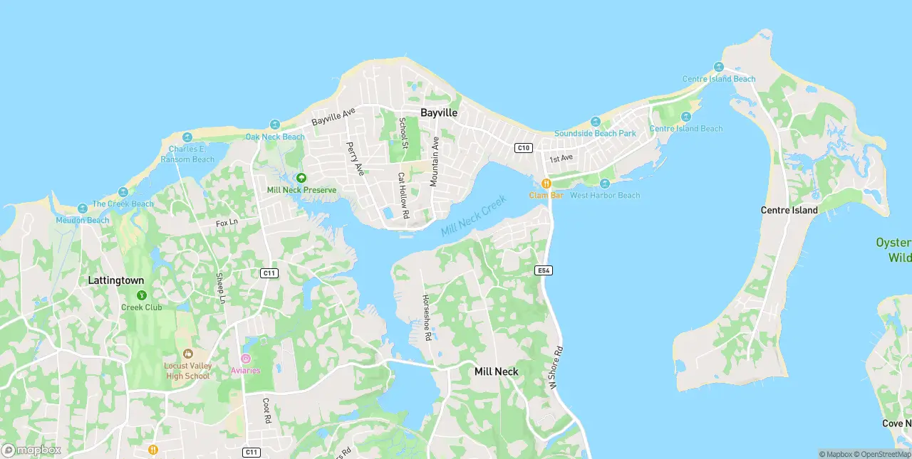 Internet in Bayville
