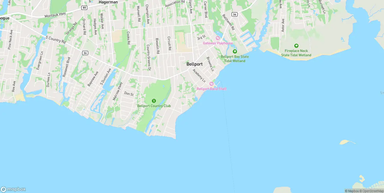 Internet in Bellport
