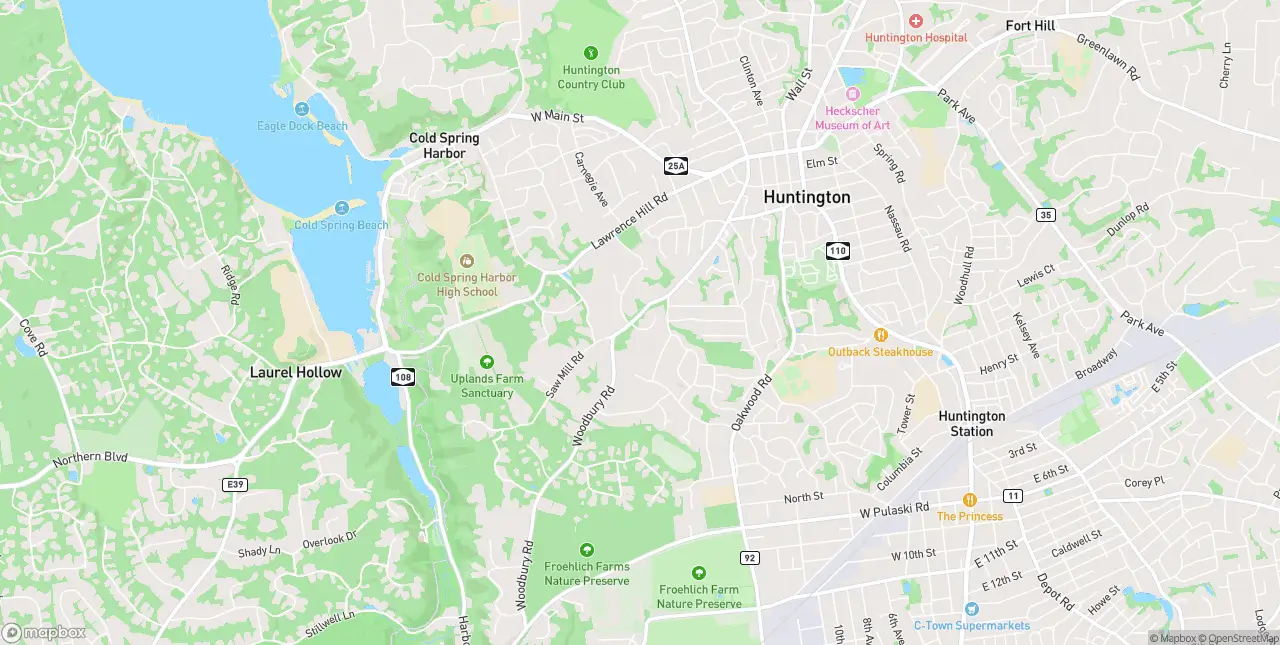 Internet in Cold Spring Harbor