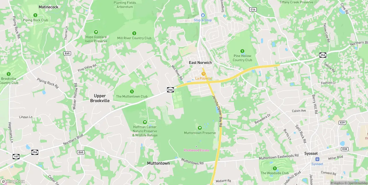 Internet in East Norwich