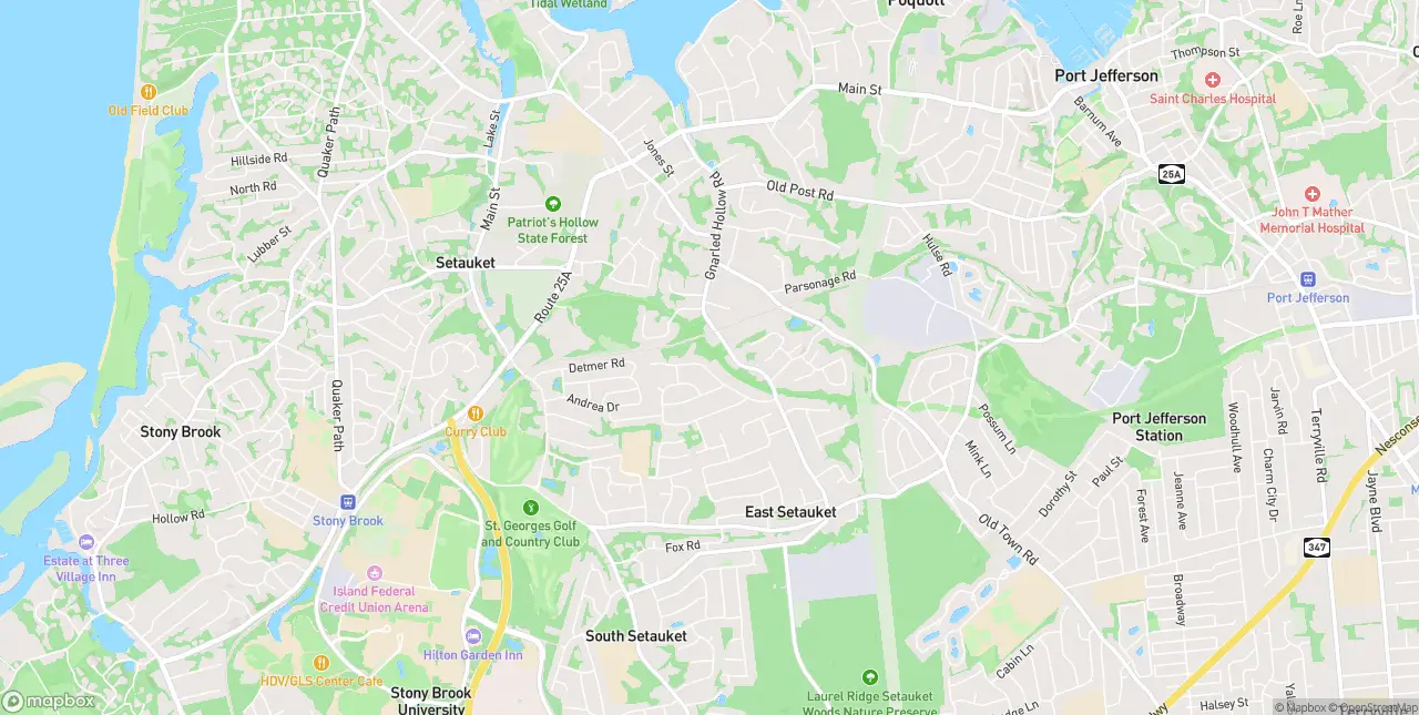 Internet in East Setauket