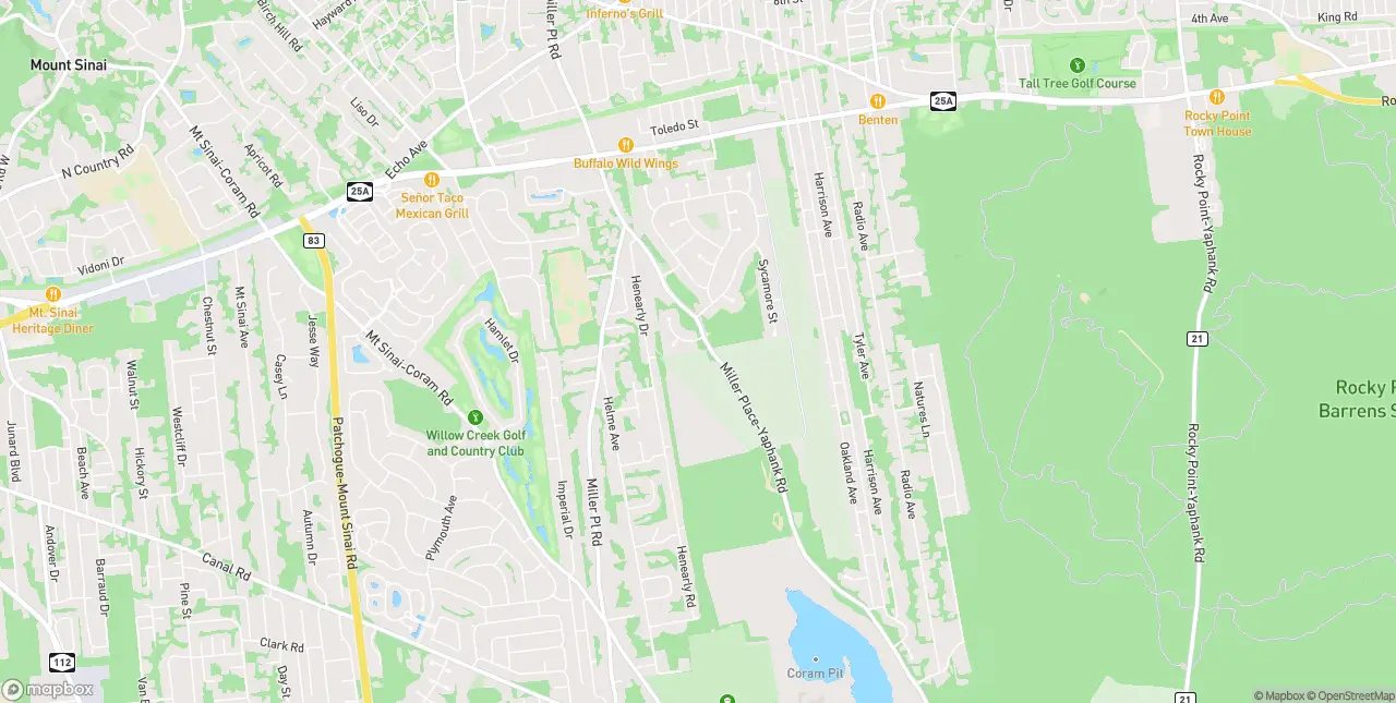 Internet in Miller Place