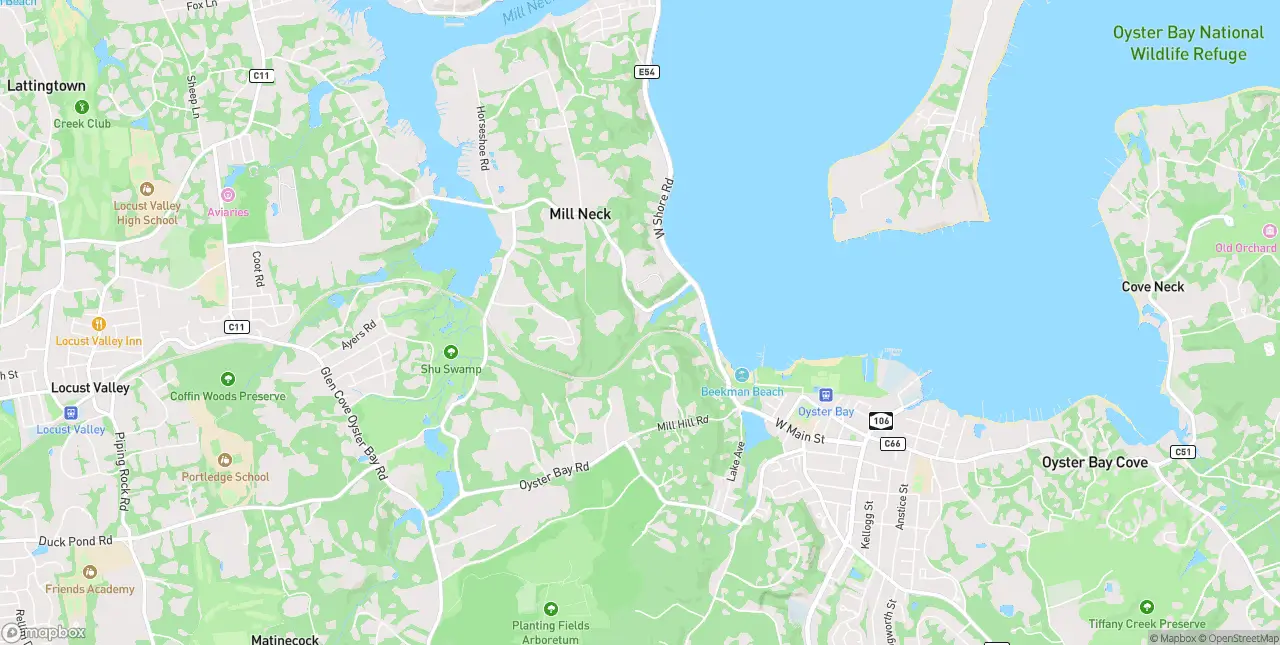 Internet in Mill Neck