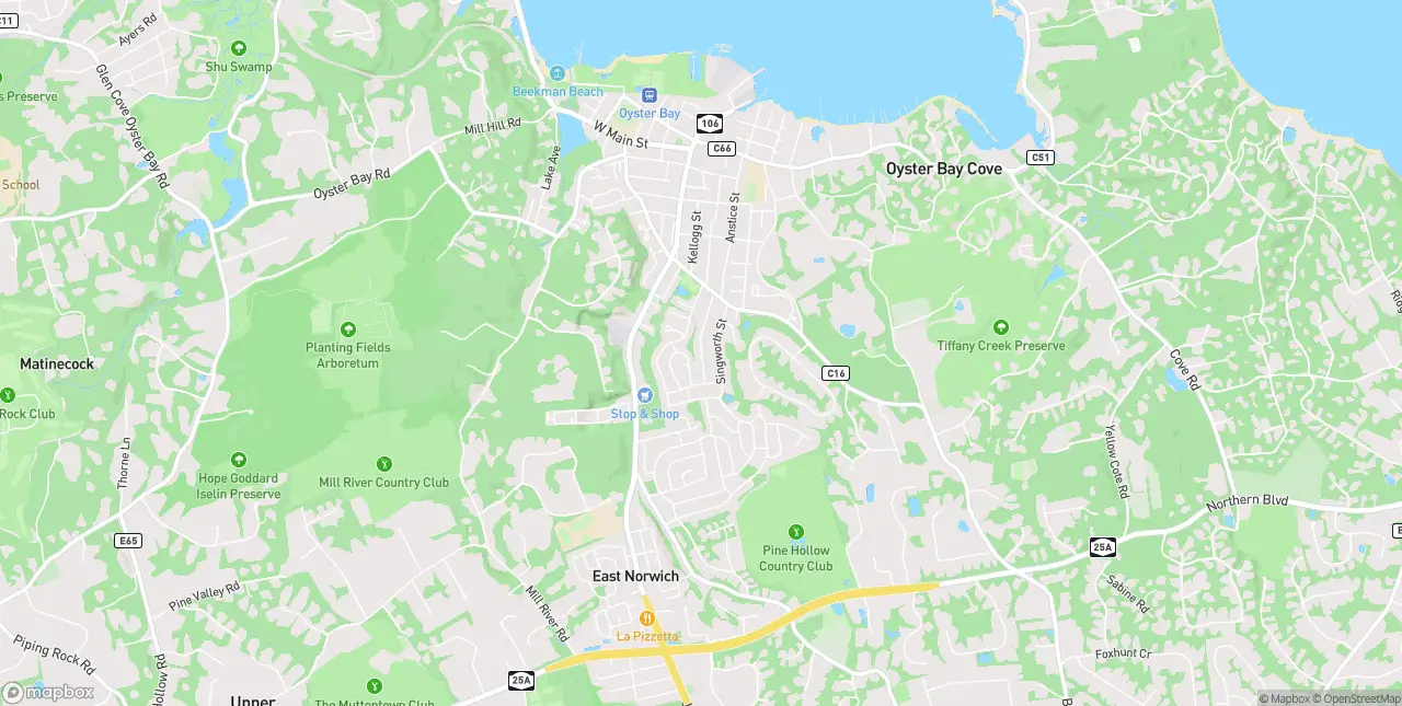 Internet in Oyster Bay