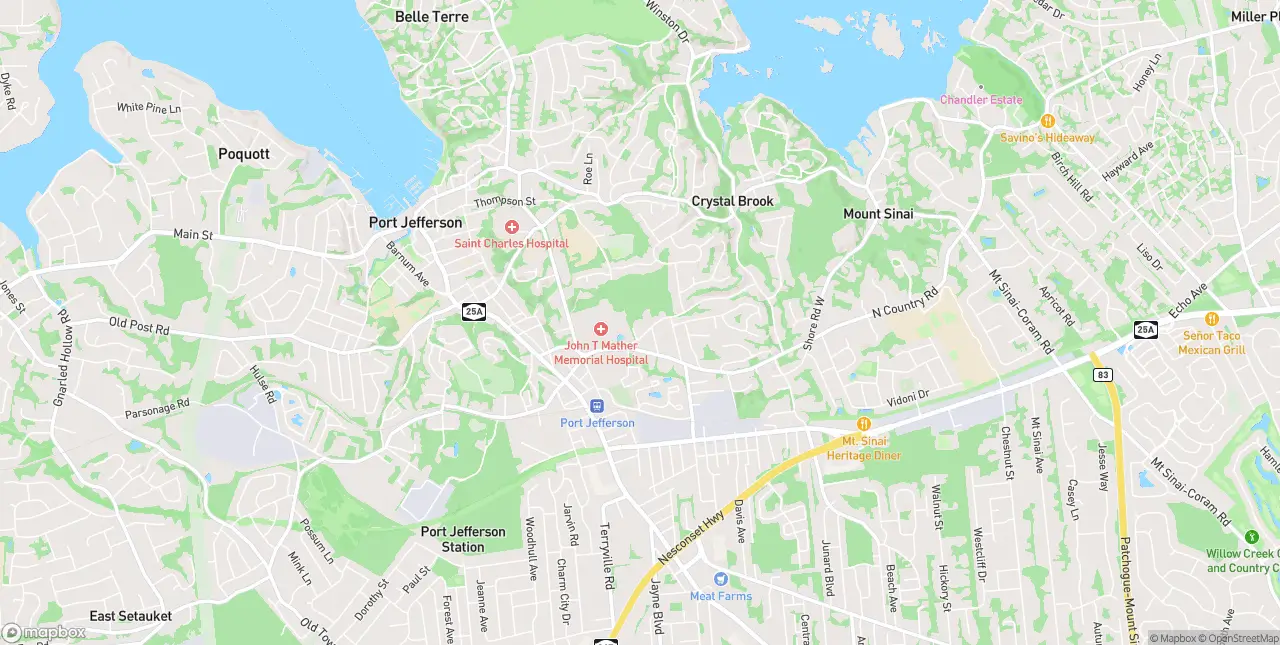 Internet in Port Jefferson