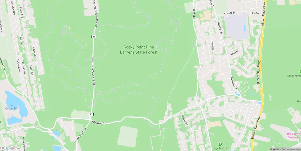 Internet in Rocky Point
