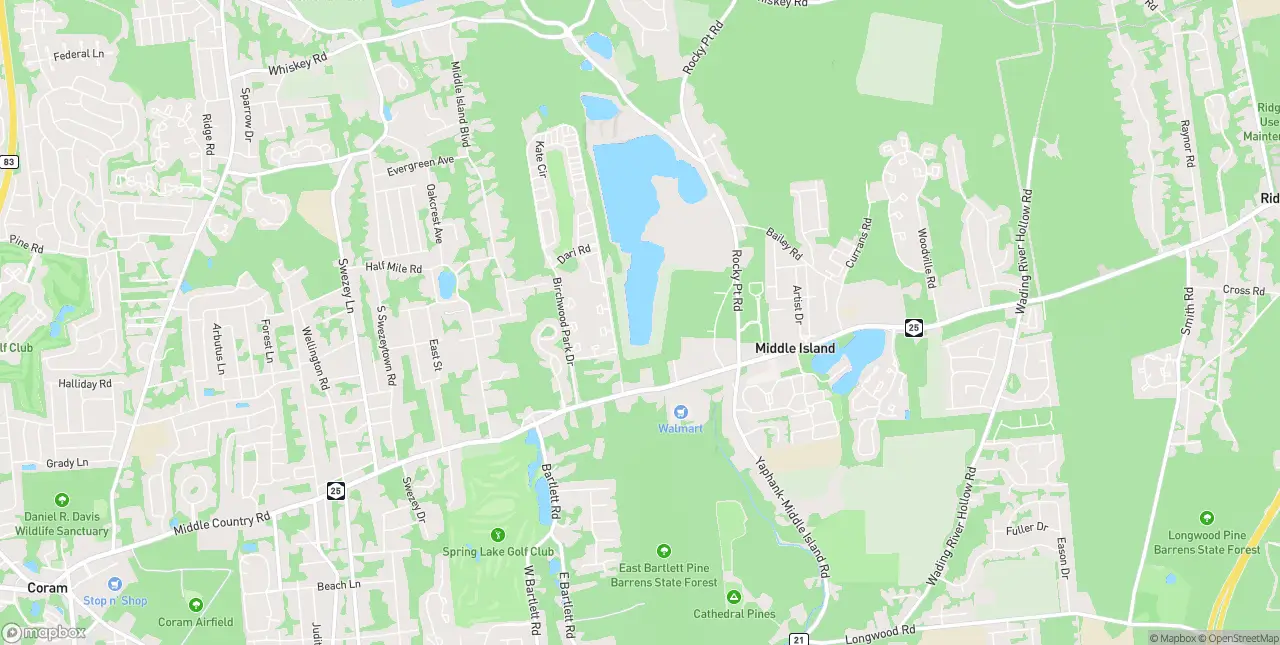 Internet in Middle Island