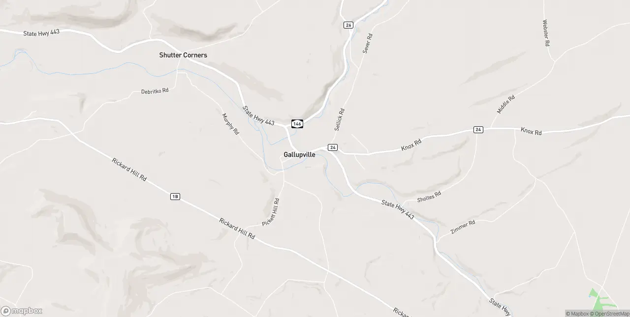 Internet in Gallupville